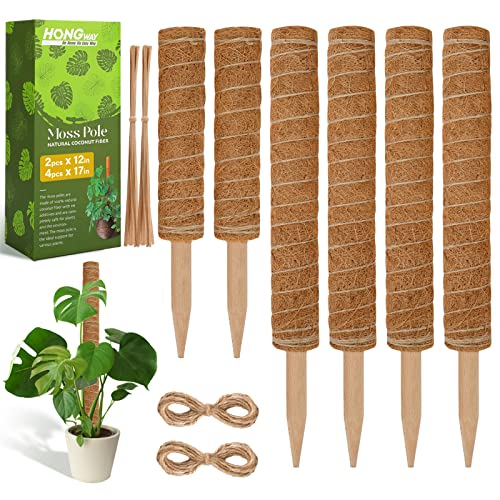 HongWay 67 Inch 6 Packs Moss Pole for Plant Monstera, 4 Packs 17 Inch and 2 Packs 12 Inch Plants Support for Indoor Climbing Plants Poles with Rope and Twist Ties