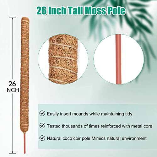 ADEBOLA 2 PCS 26 Inches Tall Moss Poles, Bendable Plant Poles for Climbing Plants with Two Garden Jute Rope for Monstera, Sphagnum, Pothos and Other Indoor Plants