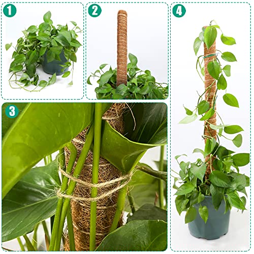 Moss Pole Sphagnum Coir Pole Stackable Moss Pole for Monstera Plants Plant  Stake Sphagnum Moss Stake Plant Accessories 