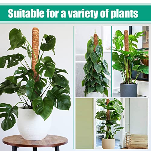 ADEBOLA 2 PCS 26 Inches Tall Moss Poles, Bendable Plant Poles for Climbing Plants with Two Garden Jute Rope for Monstera, Sphagnum, Pothos and Other Indoor Plants
